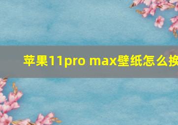 苹果11pro max壁纸怎么换